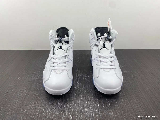 Rep LUCY Jordan Oreo 6 Reverse Air CT8529-112 0701
